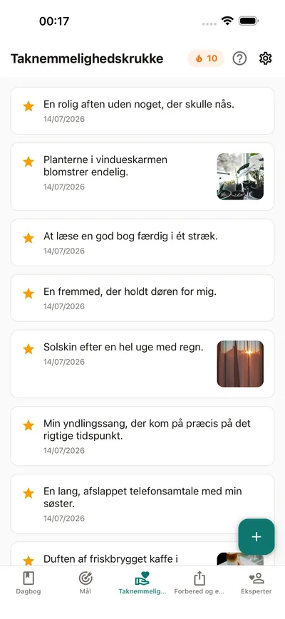 BrightLogs Taknemmelighedskrukke — små noteringer der samler sig ét sted i den private dagbog