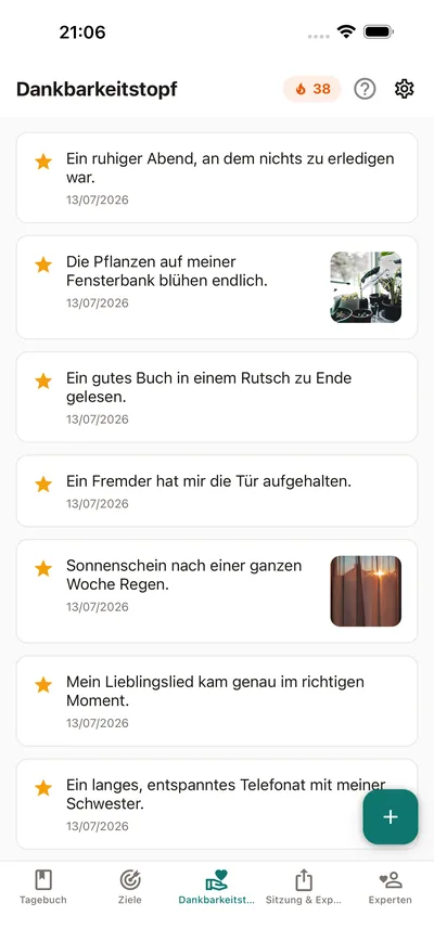 BrightLogs Dankbarkeitstopf — kleine Einträge sammeln sich an einem Ort im privaten Tagebuch