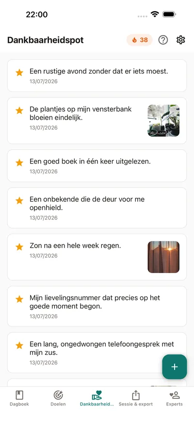 BrightLogs Dankbaarheidspot — kleine notities die zich verzamelen op één plek in het privédagboek