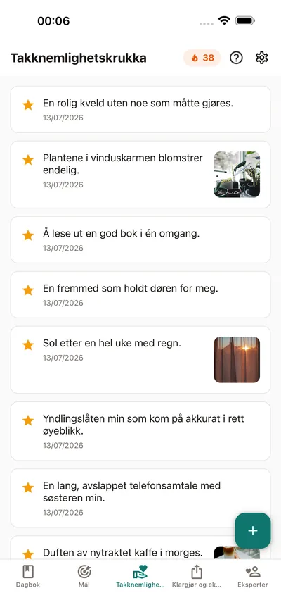 BrightLogs Takknemlighetskrukka — små noteringer som samler seg på ett sted i den private dagboken