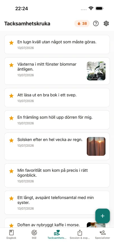 BrightLogs Tacksamhetskruka — små anteckningar som samlas på ett ställe i den privata dagboken