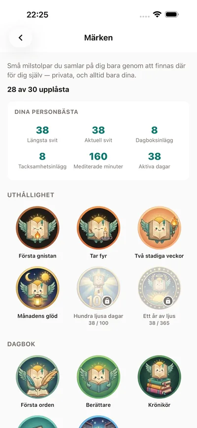 Fira varje litet steg — BrightLog