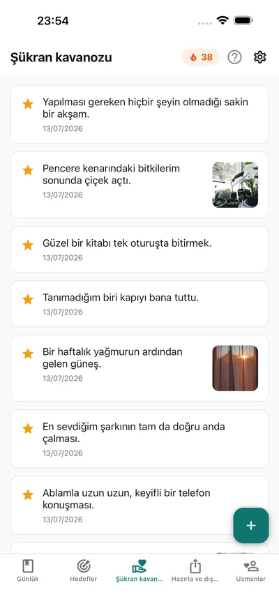 BrightLog'un Şükran kavanozu — özel günlüğün içinde tek bir yerde biriken küçük kayıtlar