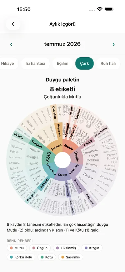 BrightLog'un analiz ekranında, kişisel duygu paleti olarak uygulamadaki duygu çarkı
